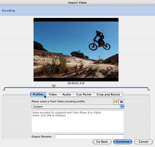 Interfaccia codifica video flash cs3