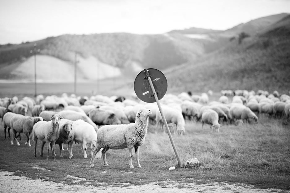 workshop fotogtrafia natura castelluccio di norcia pian grande scorci notturna 