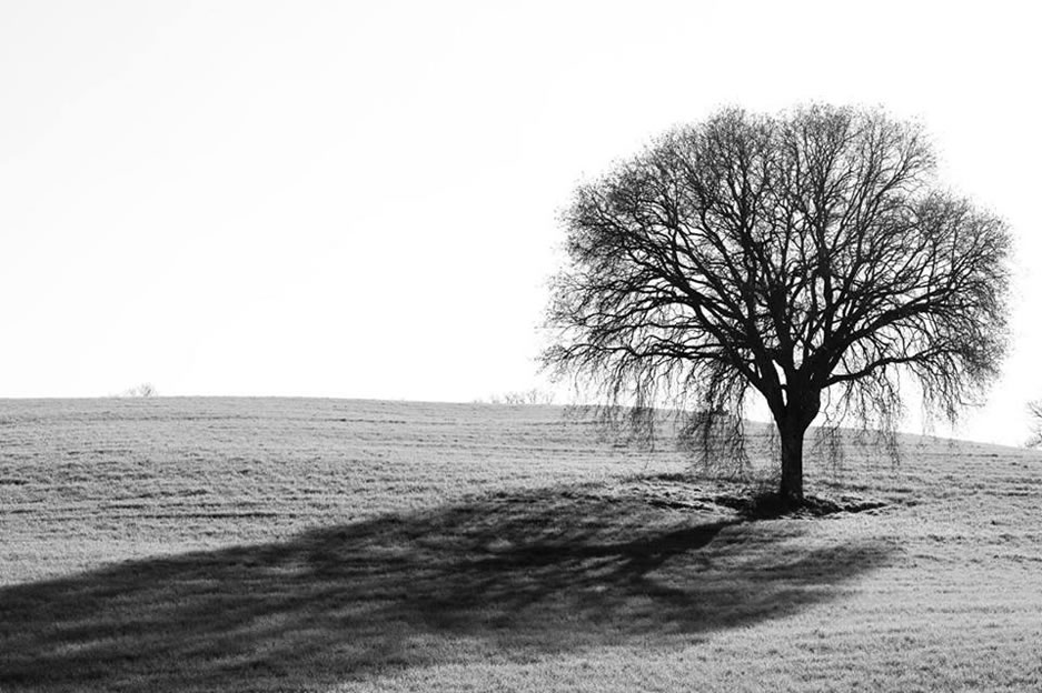 workshop fotografia itinerante pesaggio viaggio racconti citta umbre natura campagna vita tranquilla relax